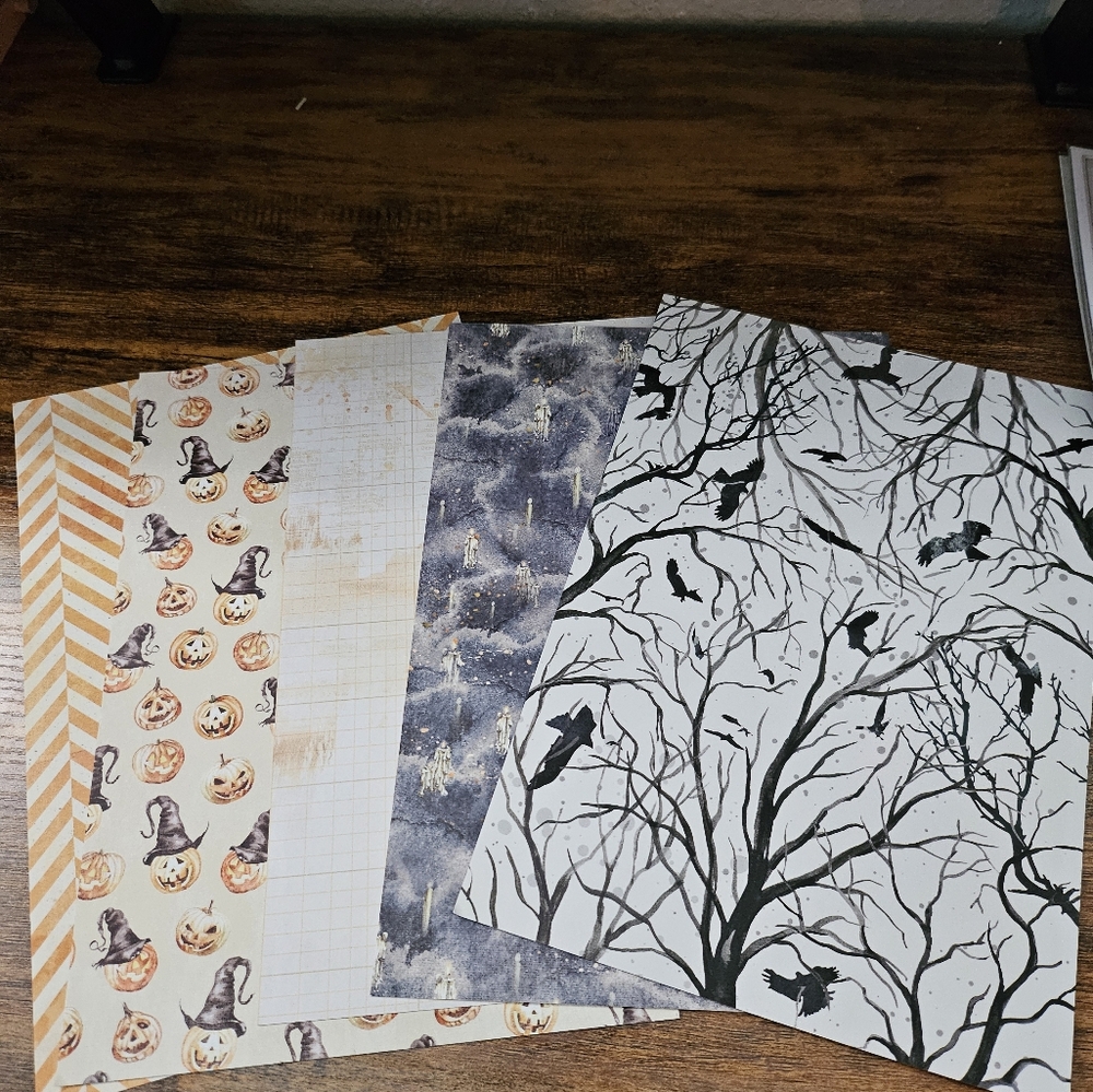 Lot of Cocoa Daisy items - Picture 4 of 8